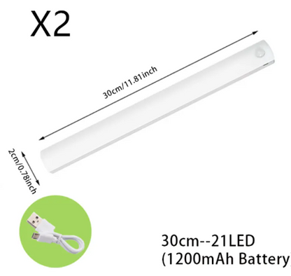LED  Light
