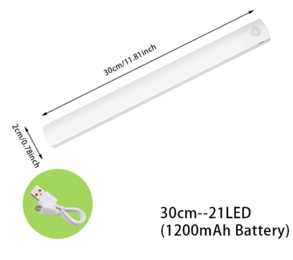LED  Light