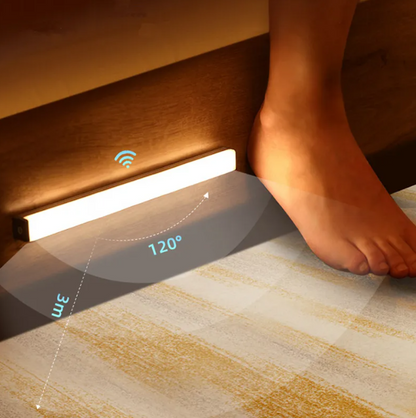 LED  Light