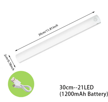 LED  Light