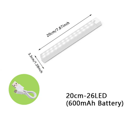 LED  Light