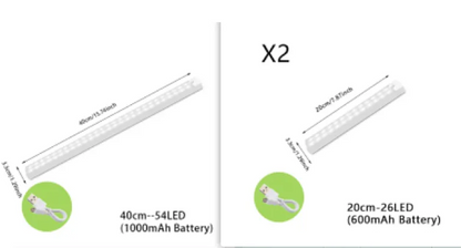 LED  Light