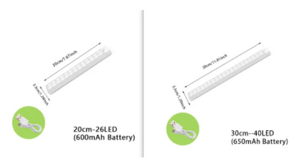 LED  Light