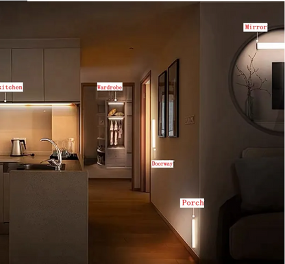 LED  Light